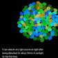 300 Piece Glow in the Dark Walkway Stones for Home Decor - Buy Confidently with Smart Sales Australia