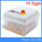 Chick Hatchery Automatic Incubation Poultry Equipment - Buy Confidently with Smart Sales Australia