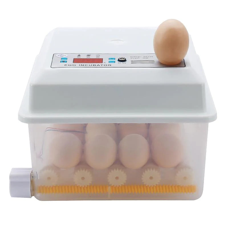 Chick Hatchery Automatic Incubation Poultry Equipment - Buy Confidently with Smart Sales Australia