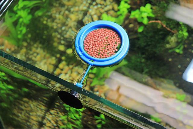 Fish Feeding Ring Floating Station with a Suction Cup For Fish Tanks/Aquariums - Buy Confidently with Smart Sales Australia