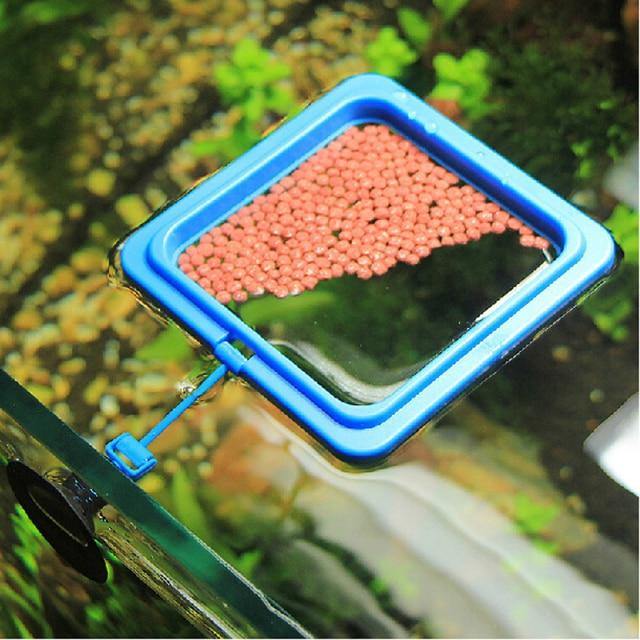 Fish Feeding Ring Floating Station with a Suction Cup For Fish Tanks/Aquariums - Buy Confidently with Smart Sales Australia