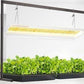Grow Light Strip Full Spectrum Sun like For Seedling and Vegetables Hydroponic Gardening - Buy Confidently with Smart Sales Australia