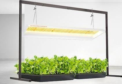 Grow Light Strip Full Spectrum Sun like For Seedling and Vegetables Hydroponic Gardening - Buy Confidently with Smart Sales Australia