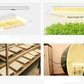 Grow Light Strip Full Spectrum Sun like For Seedling and Vegetables Hydroponic Gardening - Buy Confidently with Smart Sales Australia