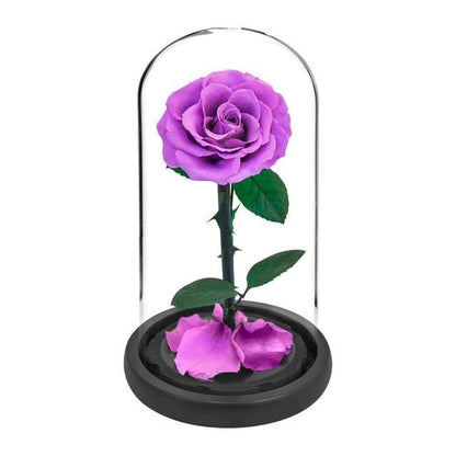 Handmade Resin Everlasting Flower in Glass Gift For Your Wife and Girlfriend - Buy Confidently with Smart Sales Australia