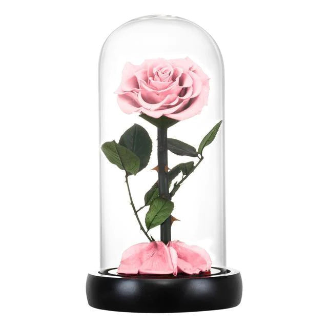 Handmade Resin Everlasting Flower in Glass Gift For Your Wife and Girlfriend - Buy Confidently with Smart Sales Australia