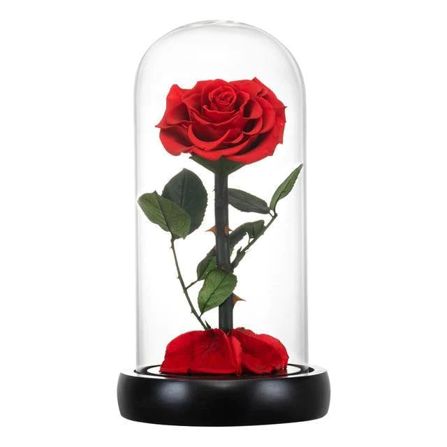 Handmade Resin Everlasting Flower in Glass Gift For Your Wife and Girlfriend - Buy Confidently with Smart Sales Australia