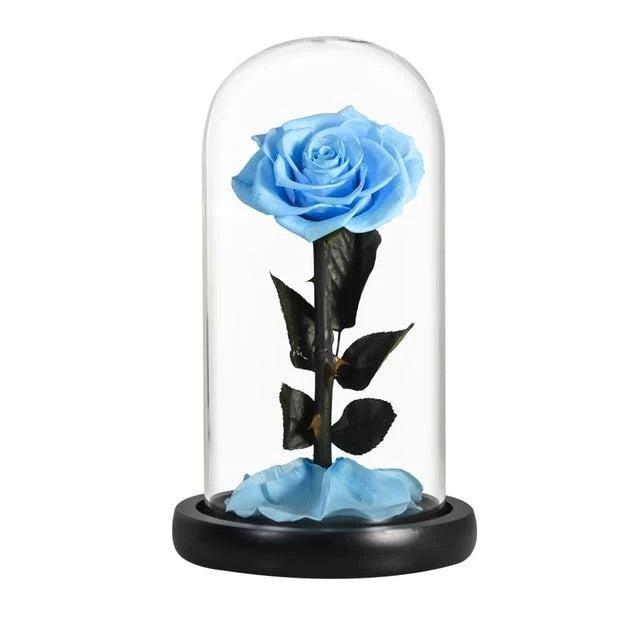 Handmade Resin Everlasting Flower in Glass Gift For Your Wife and Girlfriend - Buy Confidently with Smart Sales Australia