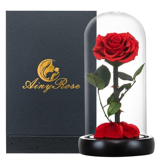 Handmade Resin Everlasting Flower in Glass Gift For Your Wife and Girlfriend - Buy Confidently with Smart Sales Australia