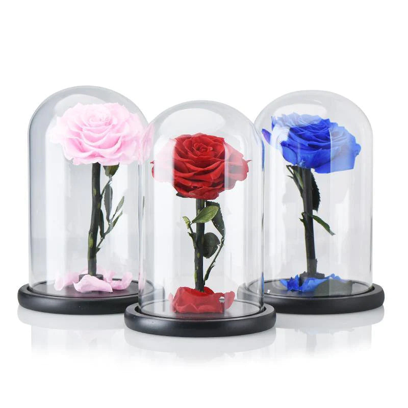 Handmade Resin Everlasting Flower in Glass Gift For Your Wife and Girlfriend - Buy Confidently with Smart Sales Australia