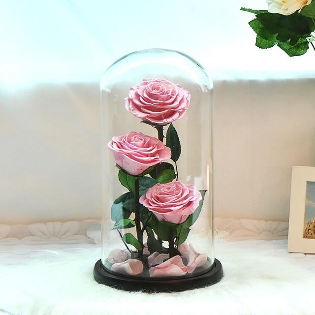 Handmade Resin Everlasting Flower in Glass Gift For Your Wife and Girlfriend - Buy Confidently with Smart Sales Australia