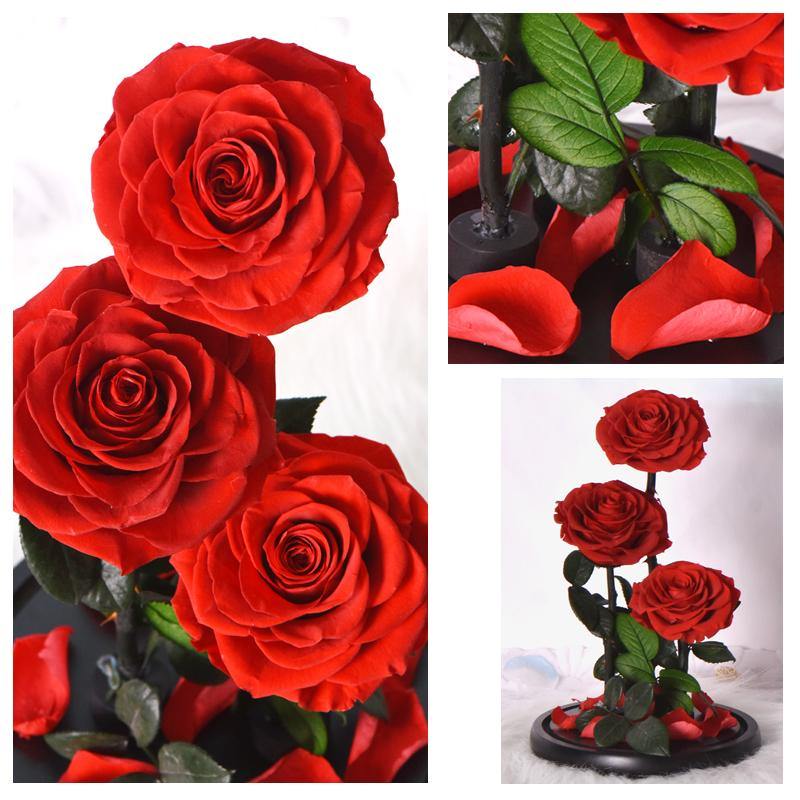 Handmade Resin Everlasting Flower in Glass Gift For Your Wife and Girlfriend - Buy Confidently with Smart Sales Australia