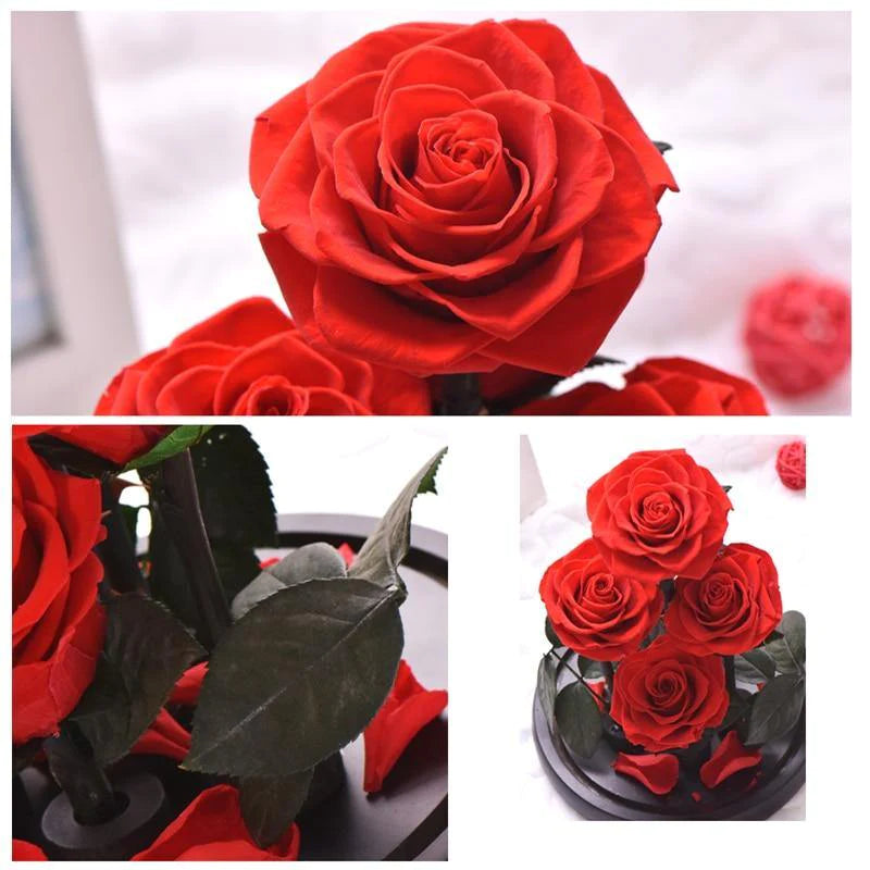 Handmade Resin Everlasting Flower in Glass Gift For Your Wife and Girlfriend - Buy Confidently with Smart Sales Australia