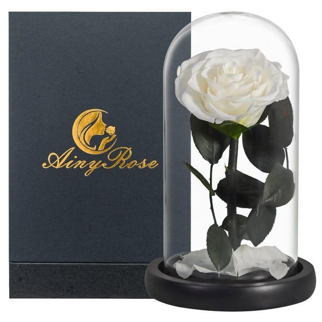 Handmade Resin Everlasting Flower in Glass Gift For Your Wife and Girlfriend - Buy Confidently with Smart Sales Australia