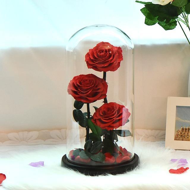 Handmade Resin Everlasting Flower in Glass Gift For Your Wife and Girlfriend - Buy Confidently with Smart Sales Australia