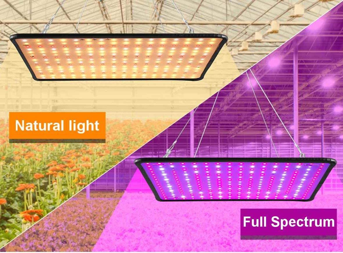 Indoor LED Full Spectrum Plant Growing Light For Hydroponics, Vegetables, and Flowering Plants - Buy Confidently with Smart Sales Australia