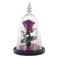 Lovely Real Rose Preserved Artificial Flower Gift For Your Wife and Girlfriend - Buy Confidently with Smart Sales Australia