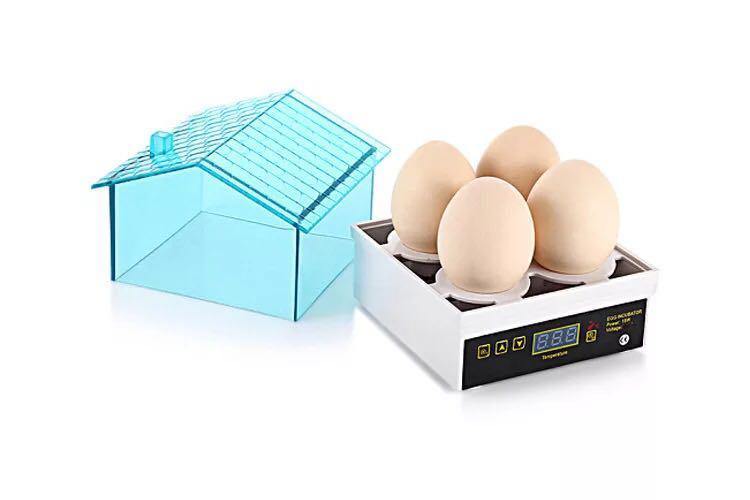 Mini 4 Egg Hatchery Incubator Machine Tool For Kids - Buy Confidently with Smart Sales Australia