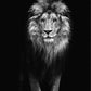 Powerful Black and White Animal Print Canvas with Over 100 Styles and Sizes - Buy Confidently with Smart Sales Australia