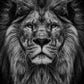 Powerful Black and White Animal Print Canvas with Over 100 Styles and Sizes - Buy Confidently with Smart Sales Australia