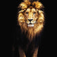 Powerful Black and White Animal Print Canvas with Over 100 Styles and Sizes - Buy Confidently with Smart Sales Australia