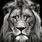 Powerful Black and White Animal Print Canvas with Over 100 Styles and Sizes - Buy Confidently with Smart Sales Australia
