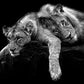 Powerful Black and White Animal Print Canvas with Over 100 Styles and Sizes - Buy Confidently with Smart Sales Australia
