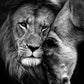 Powerful Black and White Animal Print Canvas with Over 100 Styles and Sizes - Buy Confidently with Smart Sales Australia