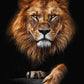 Powerful Black and White Animal Print Canvas with Over 100 Styles and Sizes - Buy Confidently with Smart Sales Australia
