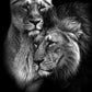 Powerful Black and White Animal Print Canvas with Over 100 Styles and Sizes - Buy Confidently with Smart Sales Australia