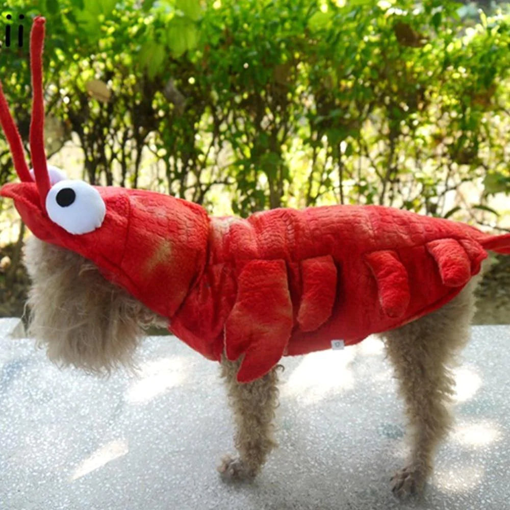 Red Lobster Costumes for Dog, Cat & More - Buy Confidently with Smart Sales Australia