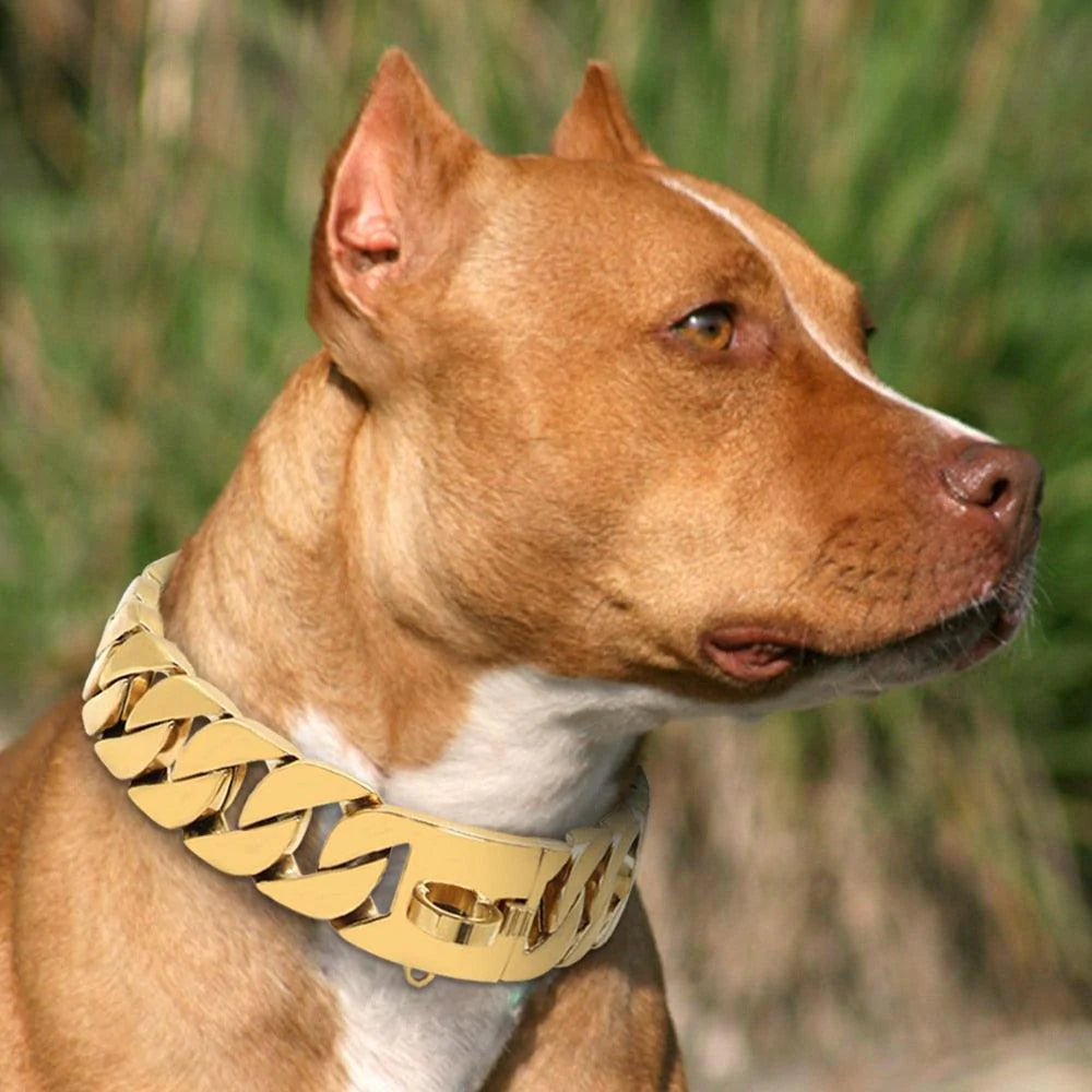 Sturdy Stainless Metal Chain Link Dog Collar - Buy Confidently with Smart Sales Australia